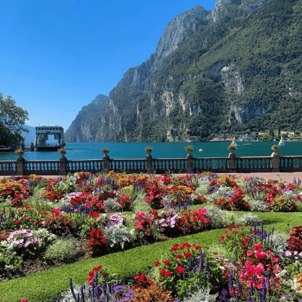 Fiori e panorama Riva del Garda