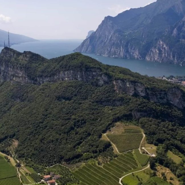 Monte Brione Riva del Garda