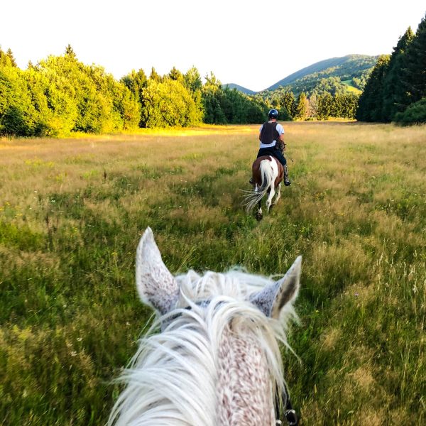 Percorsi a cavallo Hotel Campagnola Riva del Garda