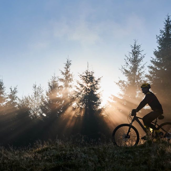 Escursioni in bici Riva del Garda